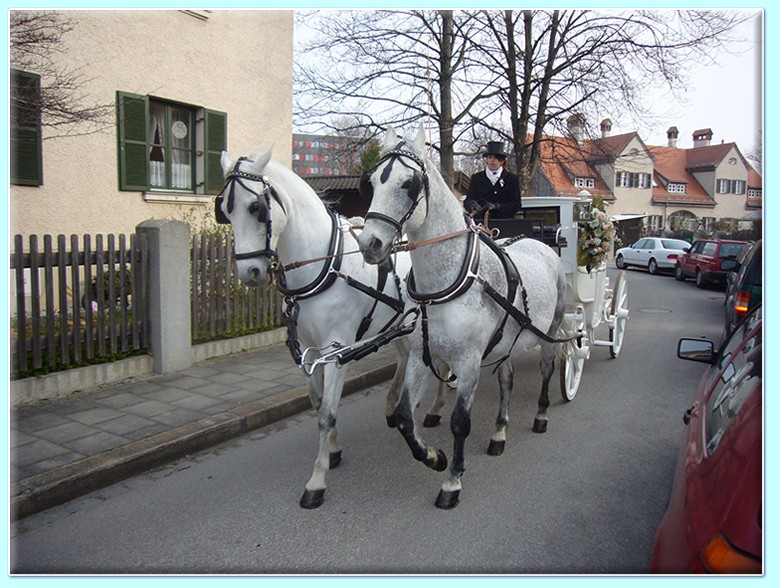 weiße viersitzige Berline (Hochzeitskutsche) der Kutscherei Hans Holzmann in München Schwabing