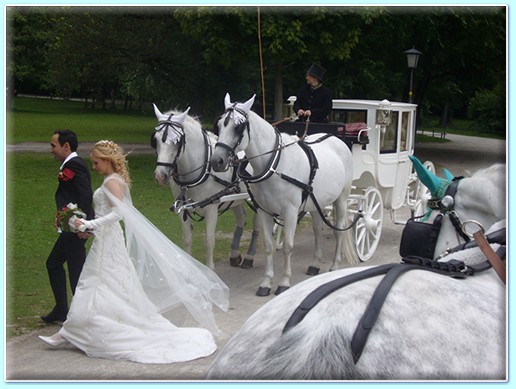 Kutschen der Kutscherei Holzmann